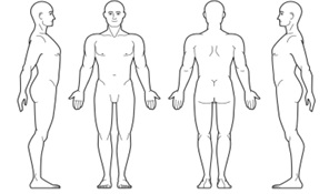 Body Diagram